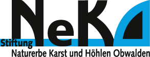 NeKO-Stiftung